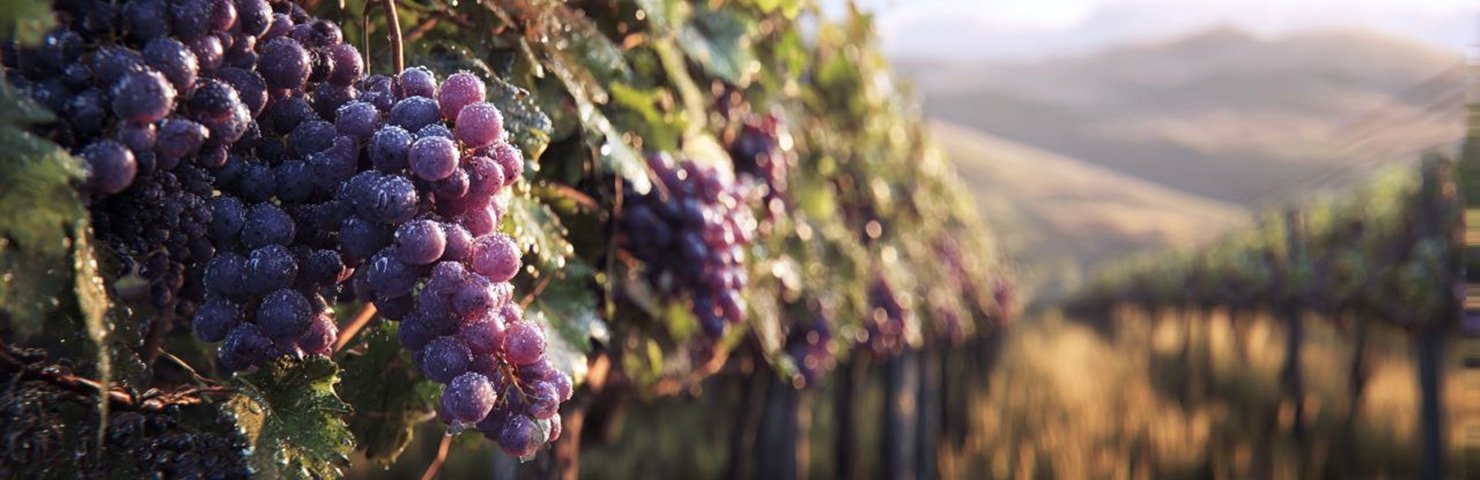 Шпалеры Гефест Краснодарский край